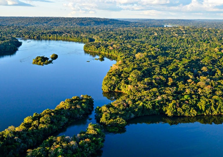 Amazônia, plantio, cúpula