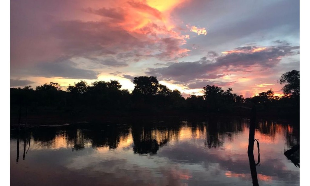 cerrado, crédito carbono