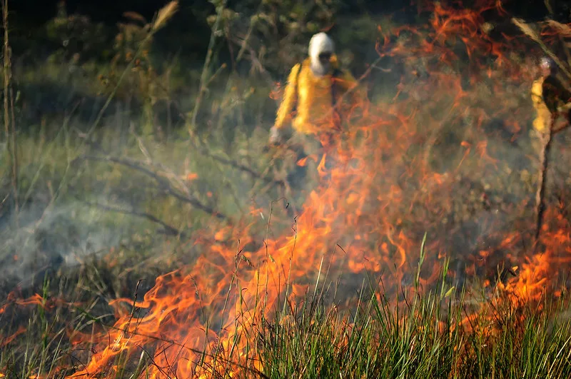 Parlamentares pedem suspensão de decreto que aumenta sanções por incêndios em propriedades rurais