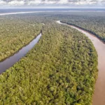 Sustentabilidade no campo: A iniciativa dos Escritórios Verdes da JBS e o impacto nas propriedades de Rondônia