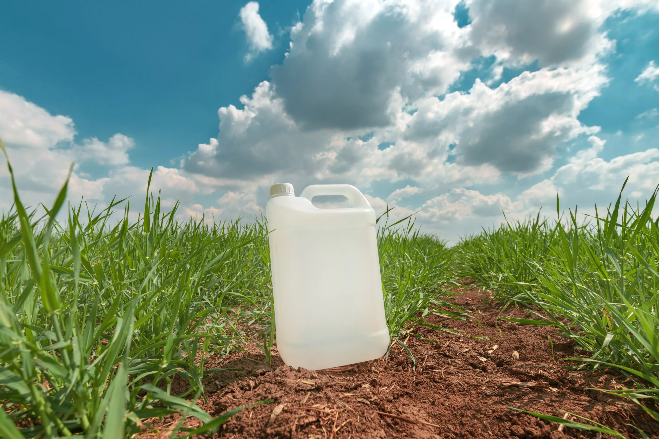 Blank pesticide jug container mock up in wheatgrass field. Using chemical in crop protection agricultural activity.