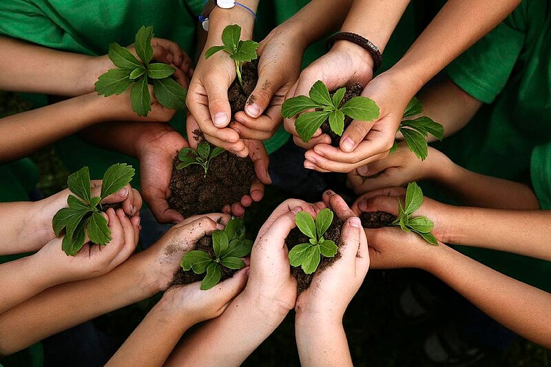 Como o Brasil Pode Melhorar sua Credibilidade no Exterior? O Papel do Agro na COP 30