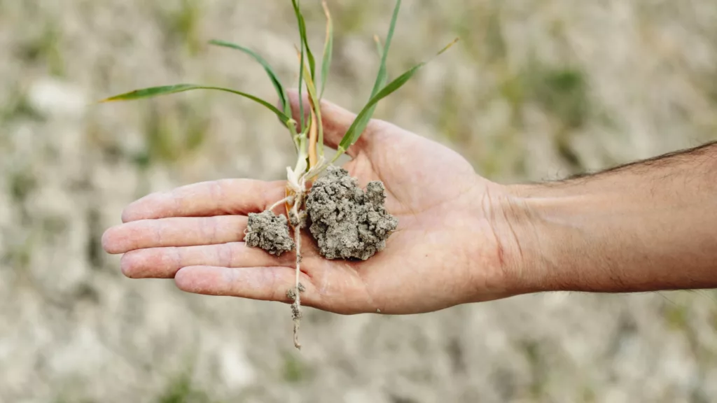 hand touches dry and dry ground.