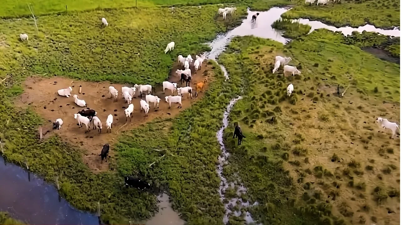 Escritórios Verdes mudam a vida de produtor rural da Amazônia