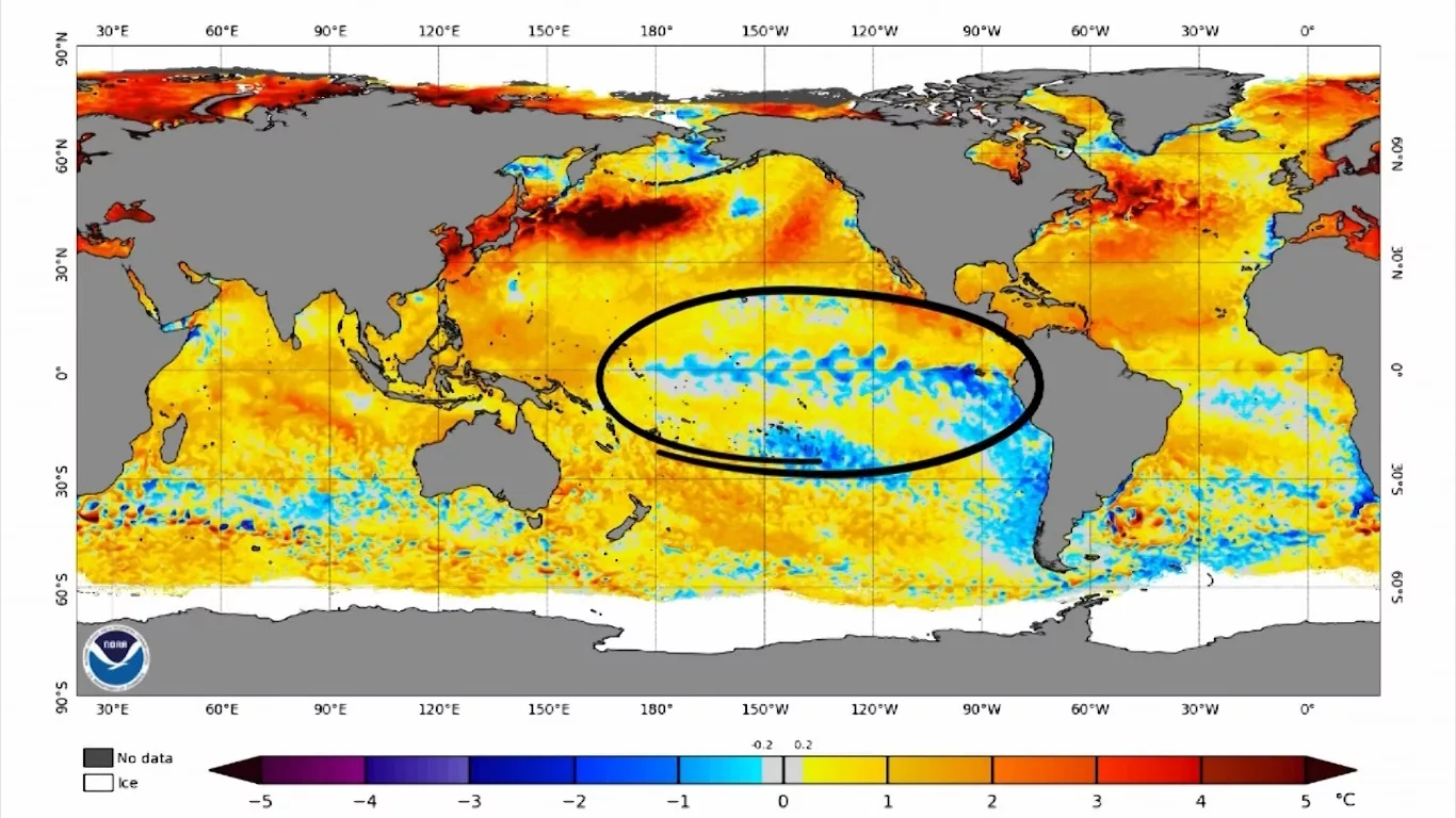 Primavera 2024: La Niña se atrasou, mas impactos climáticos já são sentidos no Brasil