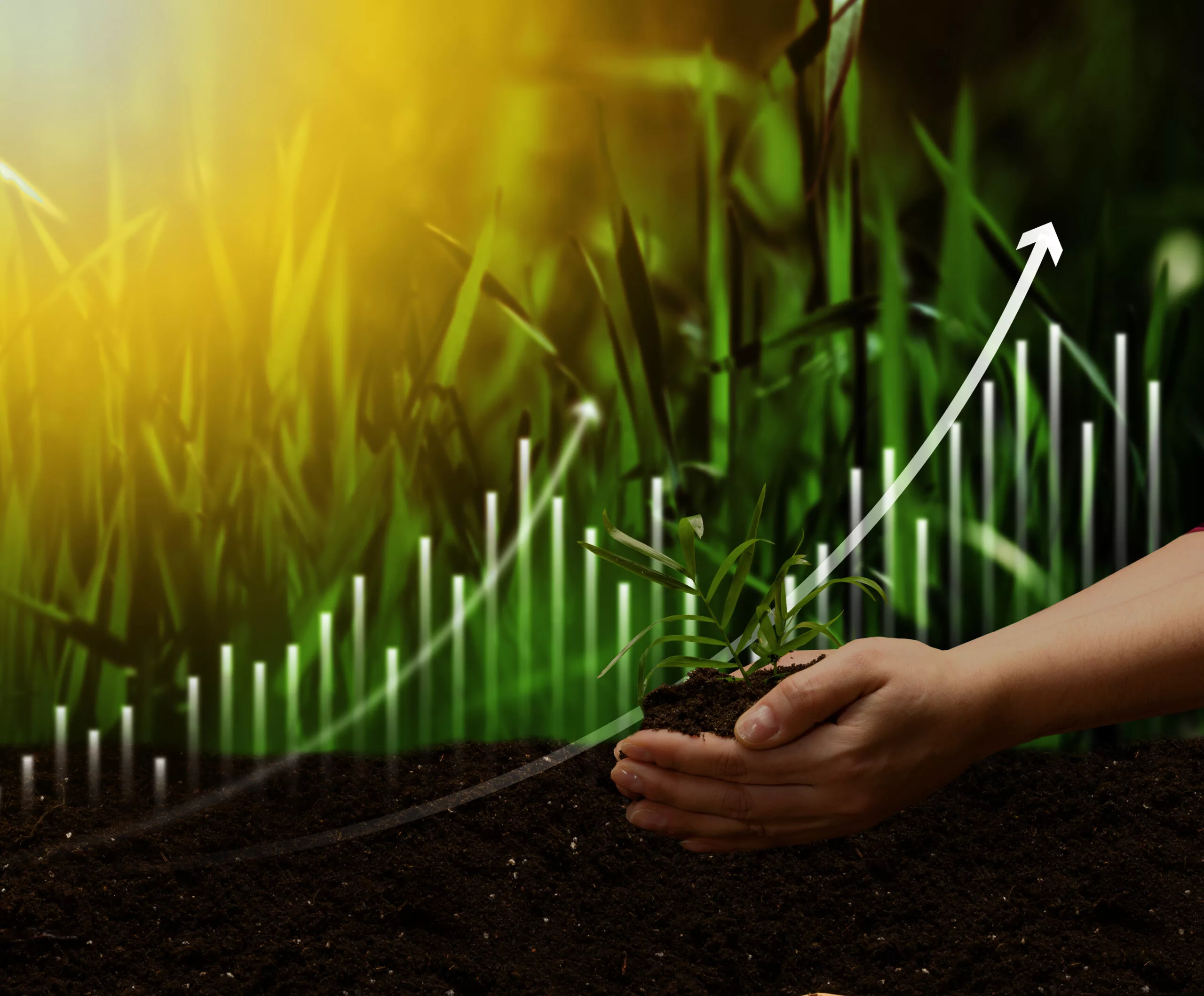 Women’s hands hold a handful of soil with a green sprout against the backdrop of a field and a graph, representing the concept of crop growth