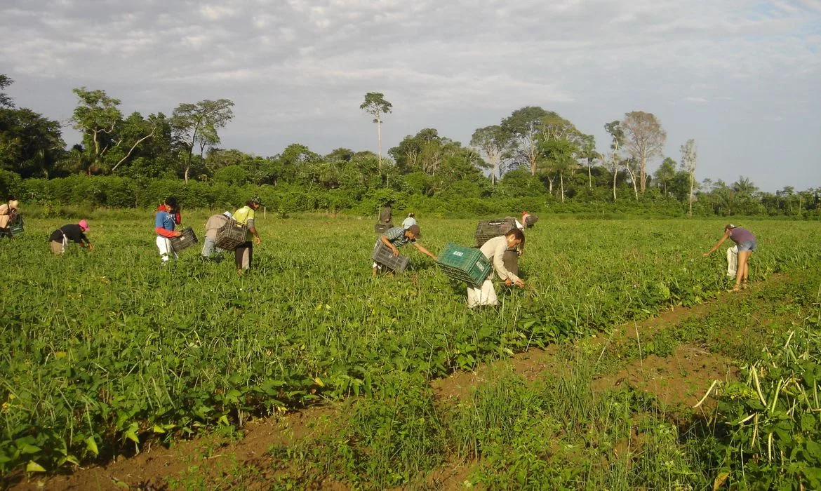 Projeto de lei cria programa de renegociação de dívidas de pequenos agricultores Projeto de lei cria programa de renegociação de dívidas de pequenos agricultores