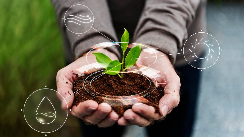 Sustentabilidade no Agronegócio Paulista: O papel da FAESP e o impacto do Cadastro Ambiental Rural