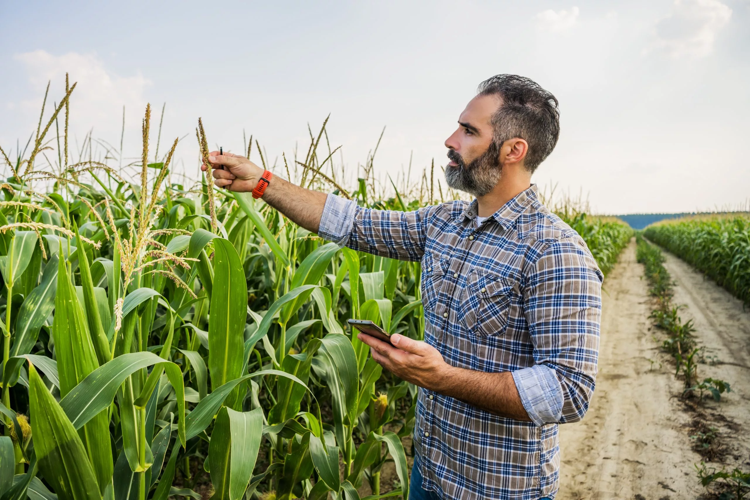 Dia do agrônomo: desafios do futuro na era da sustentabilidade