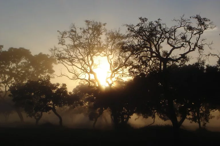 Campanha Nacional em Defesa do Cerrado questiona Dados Fundiários do MMA