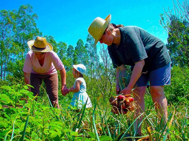 Projetos trazem inclusão social no meio rural