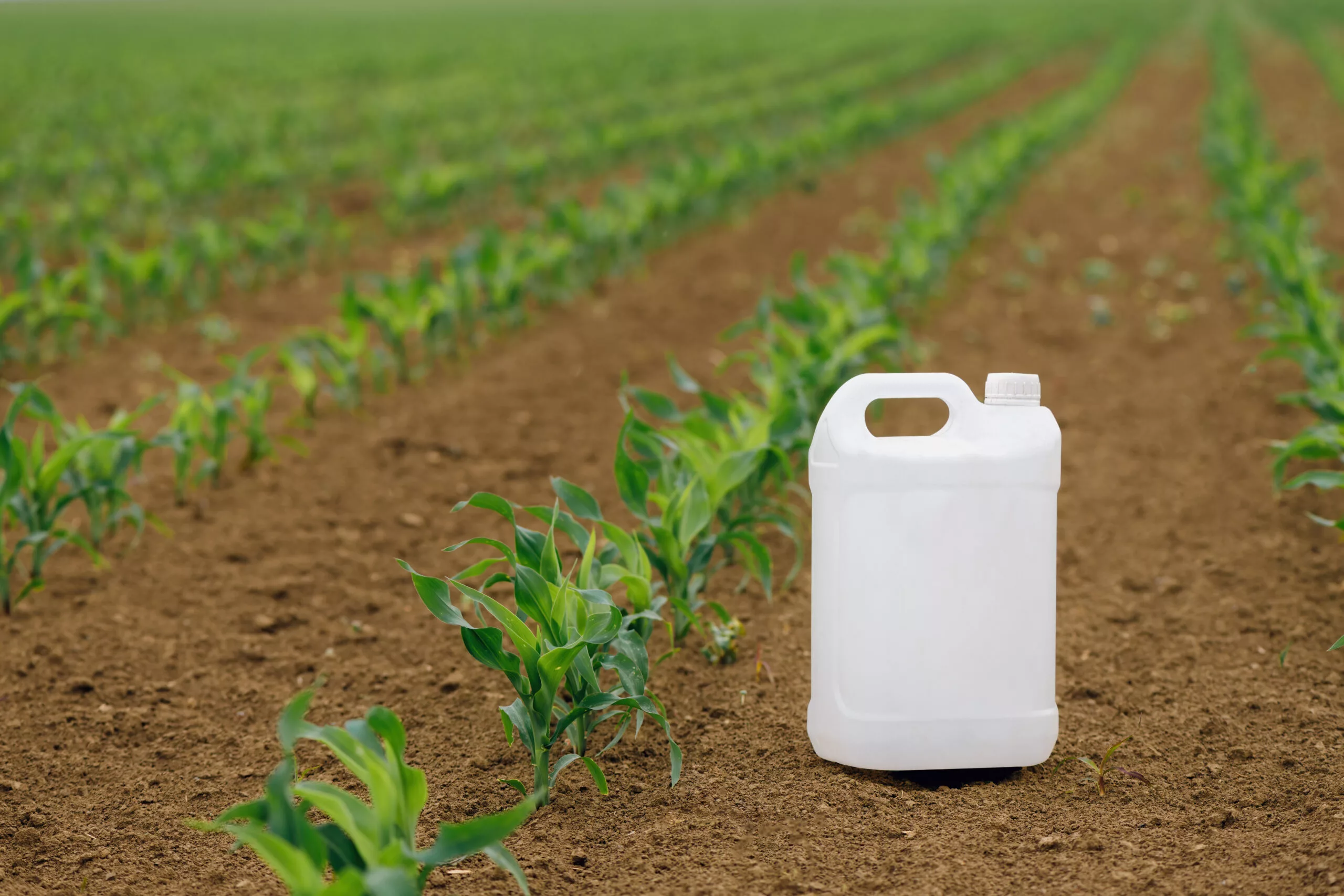 Corn pesticide canister in field, mock up image for crop protection products