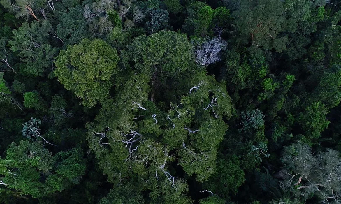 Brasil tem importante papel na redução das mudanças climáticas