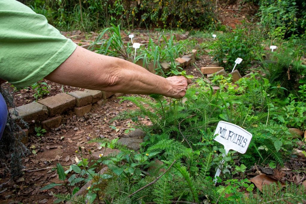 A Evolução na Regularização Ambiental e Assistência Técnica para Produtores de Rondônia e Mato Grosso