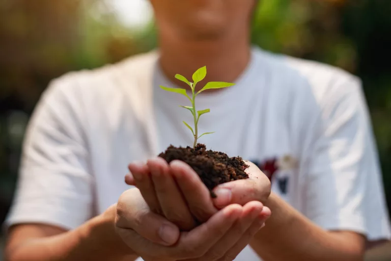 Curso gratuito da ONU ensina os fundamentos das mudanças climáticas