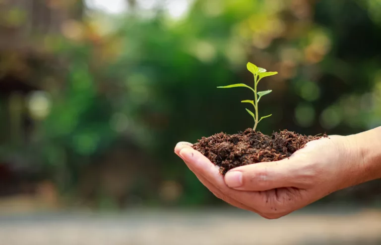 How climate change affects agricultural practices