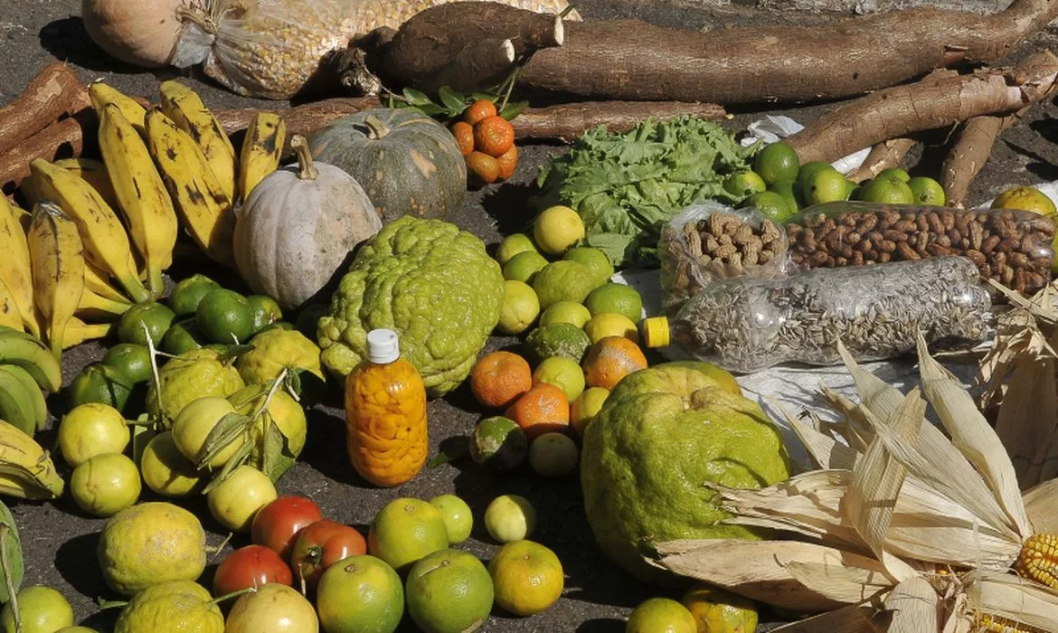 Pesquisa traz dicas sobre como reduzir desperdício de alimentos